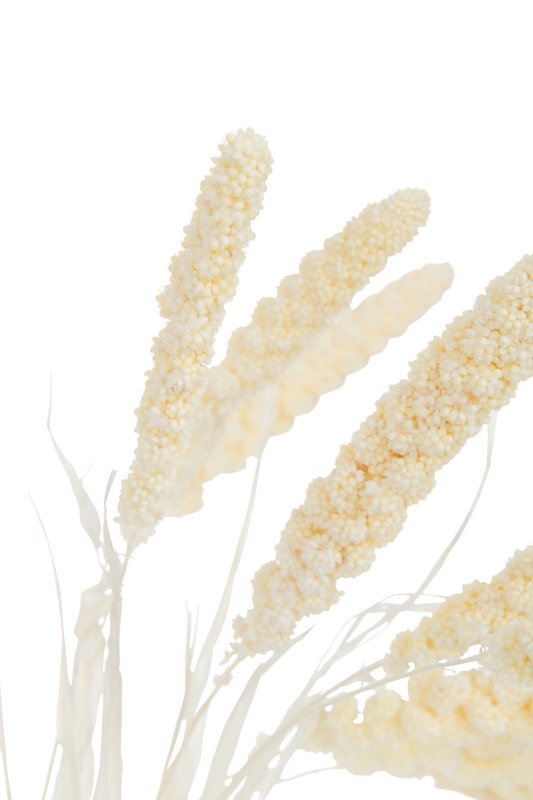 Dried Millet