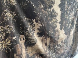 Vue sur la forêt et la rivière avec oiseaux paon Tenture murale | TRE009
