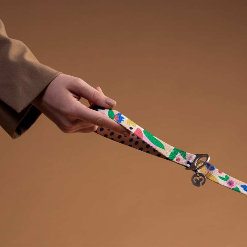 Gaston Dog Leash