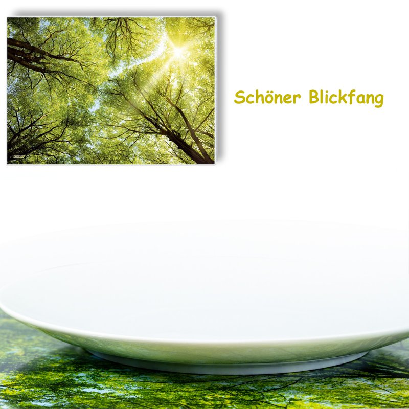 Artipics Manteles individuales Manteles individuales Lavable 4 piezas Lichtblick manteles individuales de plástico 42 x 30 cm Mantel natural, motivo de bosque especialmente bonito con reflejos de luz