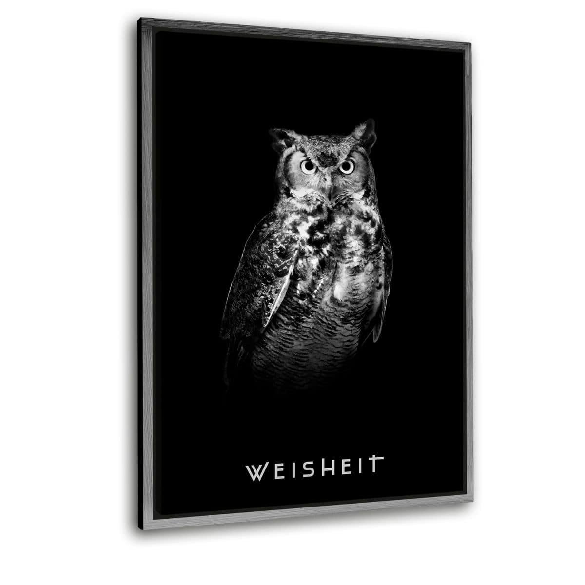 Wisdom - plexiglass picture