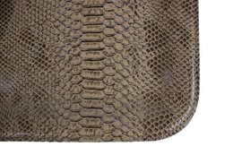 Plateau plat petit reptile marron