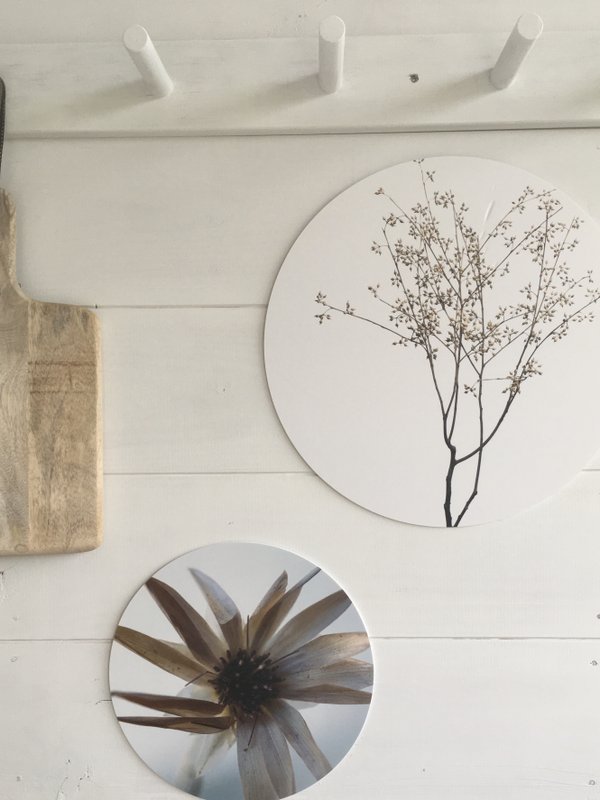 Wall circle dry plants