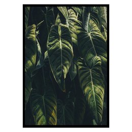 Large tropical leaves in various sizes and shapes, creating a lush, jungle-like atmosphere. The poster features a variety of green foliage with intricate patterns and textures, perfect for adding a natural, botanical element to any wall space.