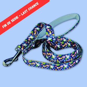 Deep agua dog leash