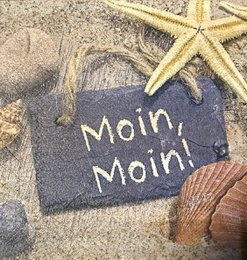 Holzfliesen alte holländische Moin Moin