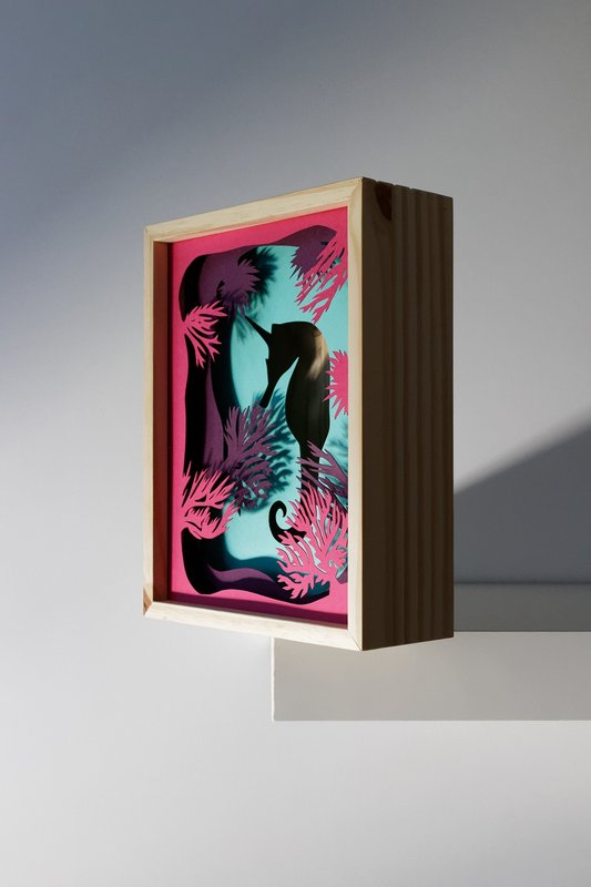 capricorn light frame
