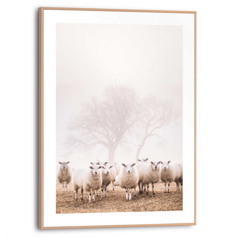 Gerahmtes Bild Slim Frame Schafe im Nebel 40x30
