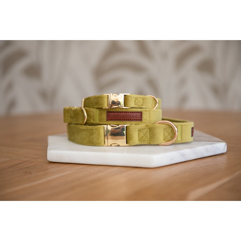 Velvy olivia collar