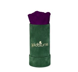 Velvet Green Collection