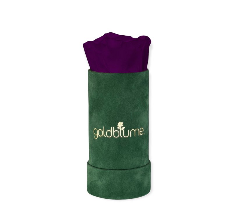 Colección Terciopelo Verde