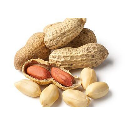 Westindischer Erdnussnougat „Sik mit Pistazien“ (vegan)