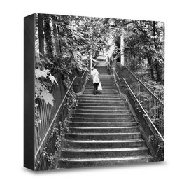 A black and white image of a wooden staircase leading through a forested area. The stairs are surrounded by lush vegetation and appear to be part of a hiking trail or nature path.