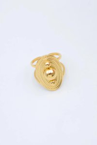 RVS ringen