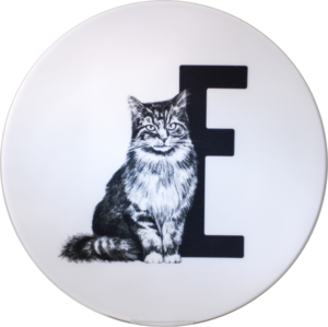 Letter board E with Kat