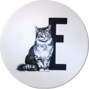 Letter board E with Kat