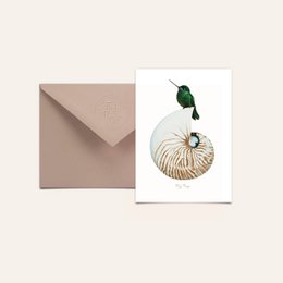 Postcard featuring a nautilus shell illustration with a green leaf. The postcard is part of the "Cards with Pictures" category.