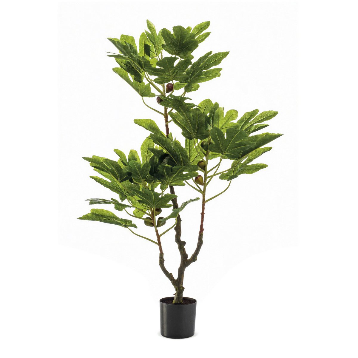 Art Plant - Ficus Carica - Figen Tree - 95 cm