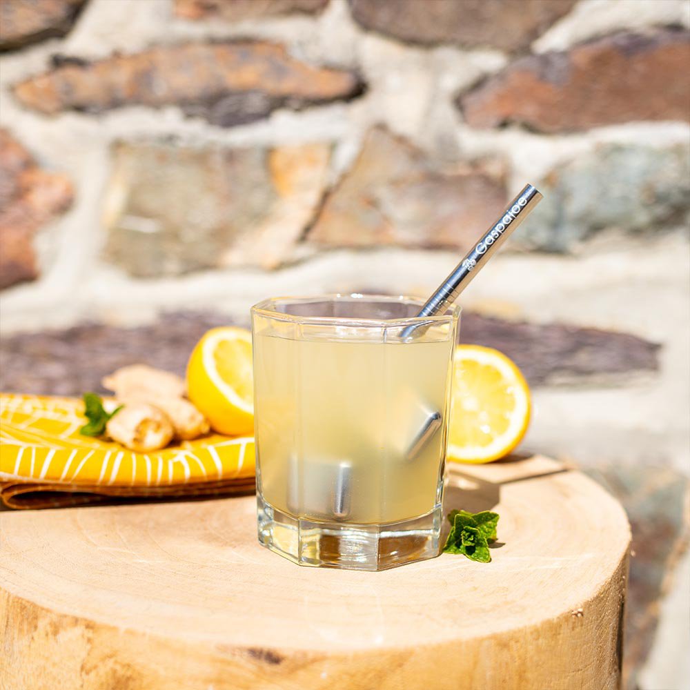 Set of 6 Gaspajoe stainless steel straws - 2 cubits, 2 smoothies, 2 cocktails with brush in organic cotton pouch