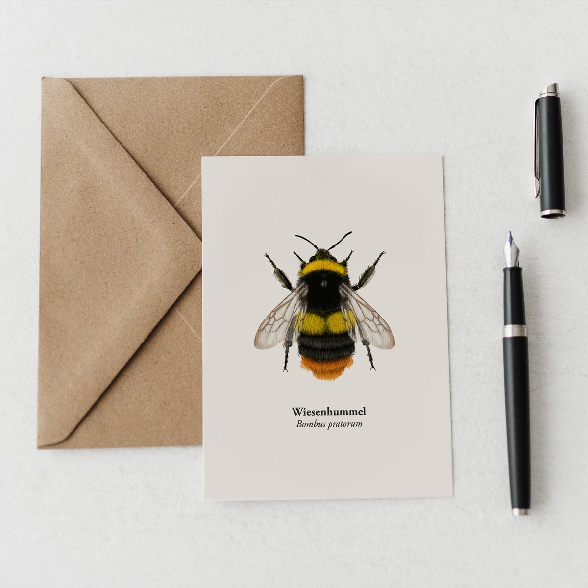 Hummel Karta z życzeniami o wysokości pocztówki z rysunkiem z papieru WiesenHummel-FSC®