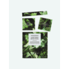Super Green Detox Gesichtsbehandlung