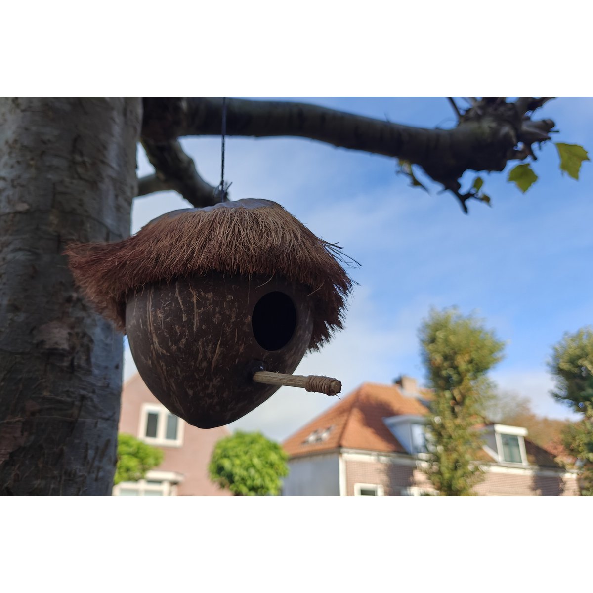 Vogelhaus - Coco Vogelhaus