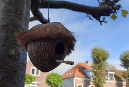 Vogelhaus - Coco Vogelhaus