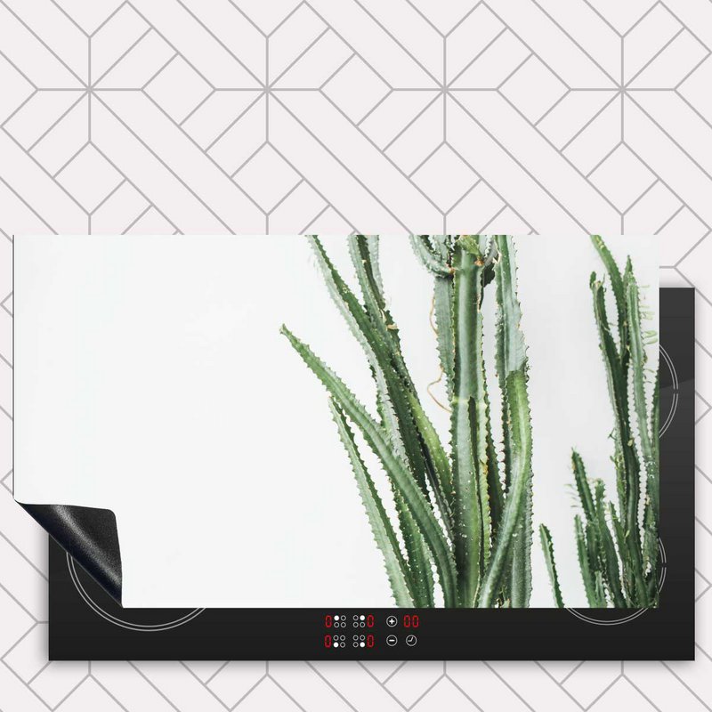 Protecteur induction - Cactus