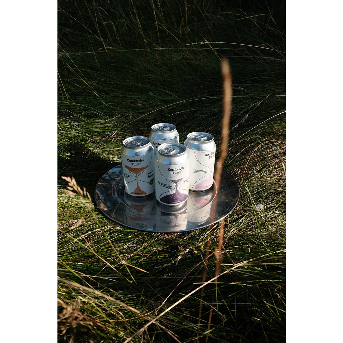 Kombucha fusión foral