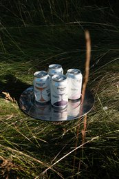 Forale fusion kombucha