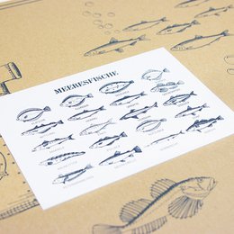 Postcard marine fish