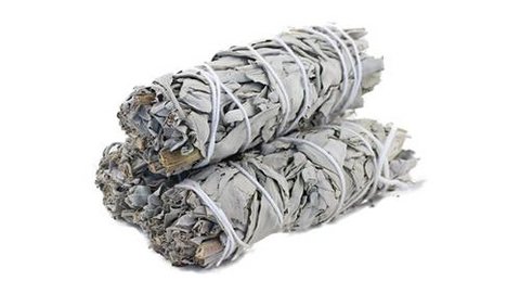Premium White Sage 10cm for Cleansing Rituals