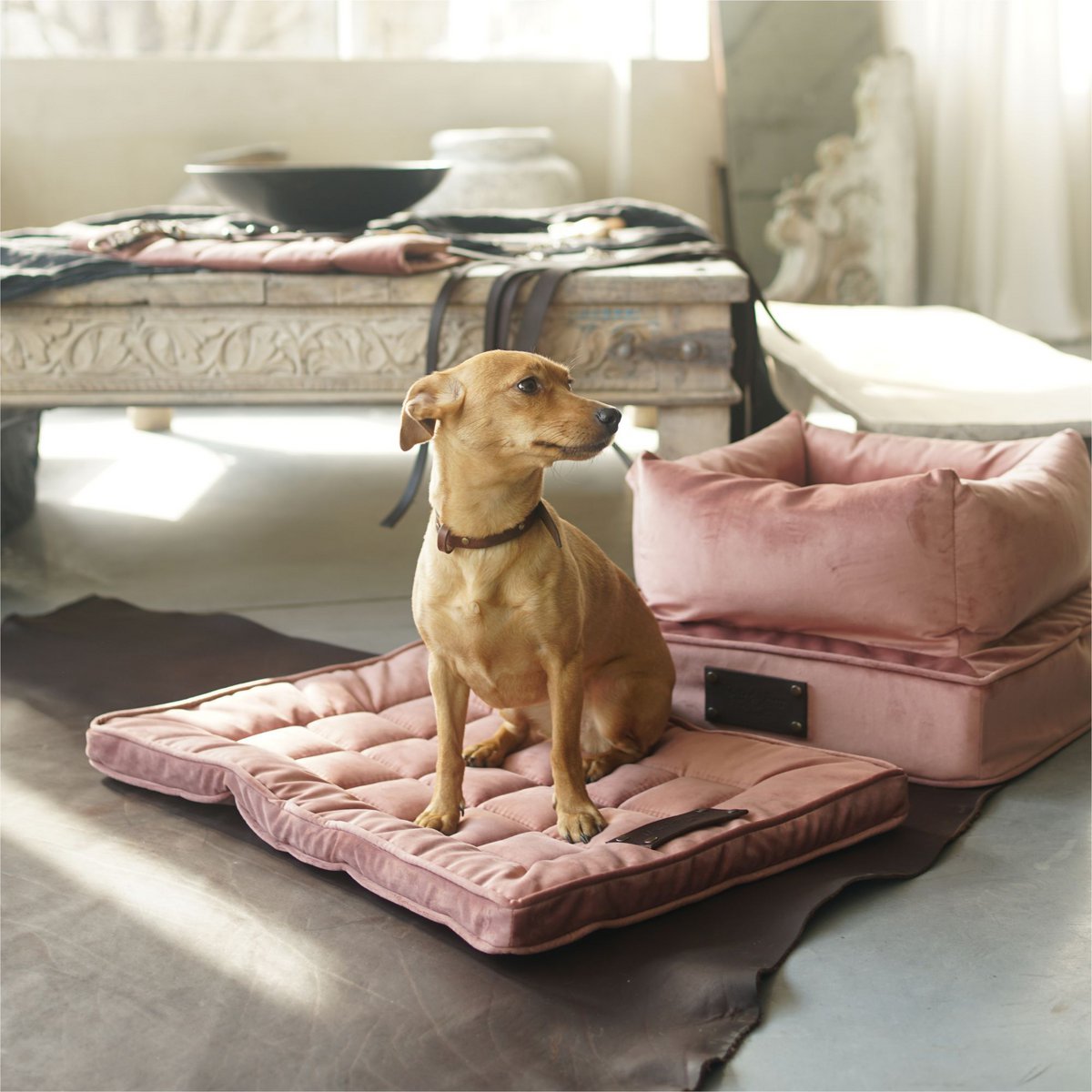 Ein Bett, ein Hund und eine Katze aus der flauschigen Welpenmarke, Veloursmaterial, 16 Farben, handgefertigt!
