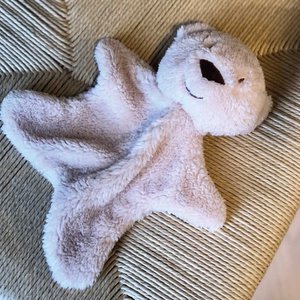 Brody bear Cuddle cloth