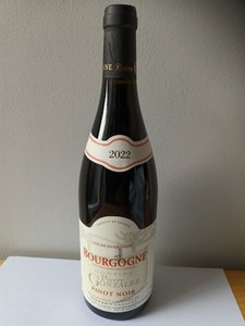 Domaine Pierre Gonzales Burgundy Pinot Noir 2022