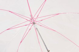 Großer automatischer transparenter Regenschirm | Winddicht | C-Sammlung
