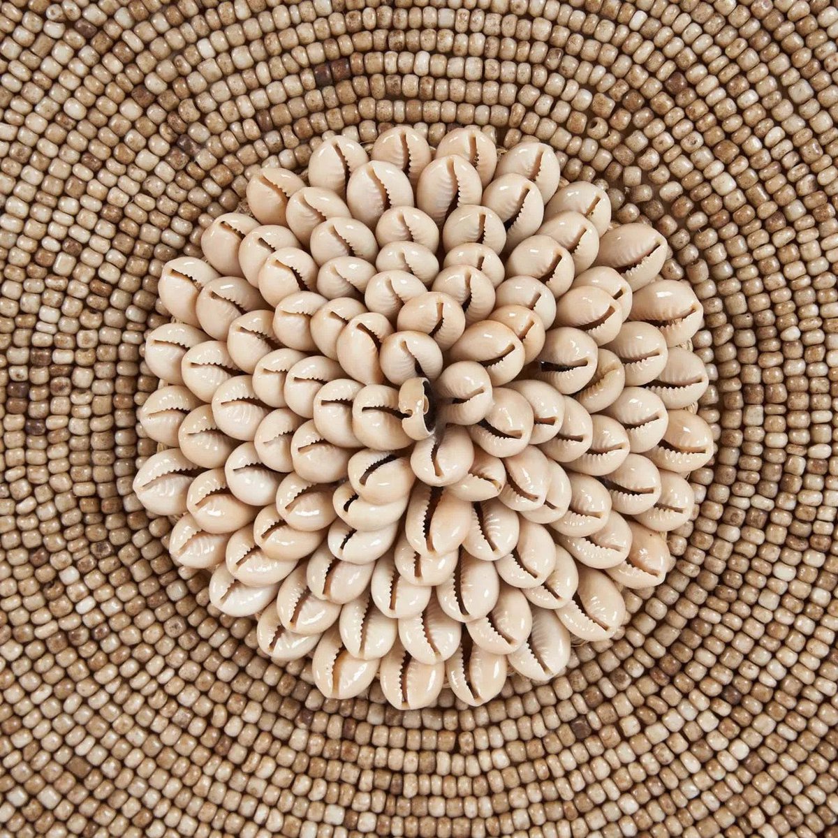 Die Muschel Guadeloupe auf Ständer – Naturweiß