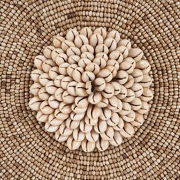 Die Muschel Guadeloupe auf Ständer – Naturweiß