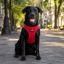 Red breathable mesh dog harness with black paw print pattern, adjustable straps, reflective badge, comfortable fit for all sizes.