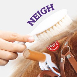 PonyCycle toy Accessories Feed & Care Set - Pink& Blue-5-Piece Assortment, Grooming Brush, Pet Brush, Carrot, Sticker, Name Tag