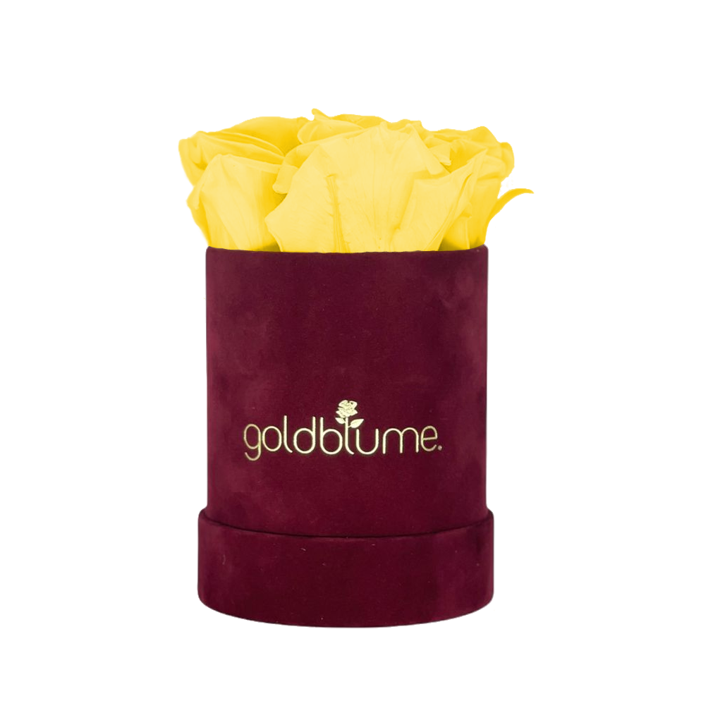 Collection Velours Bordeaux