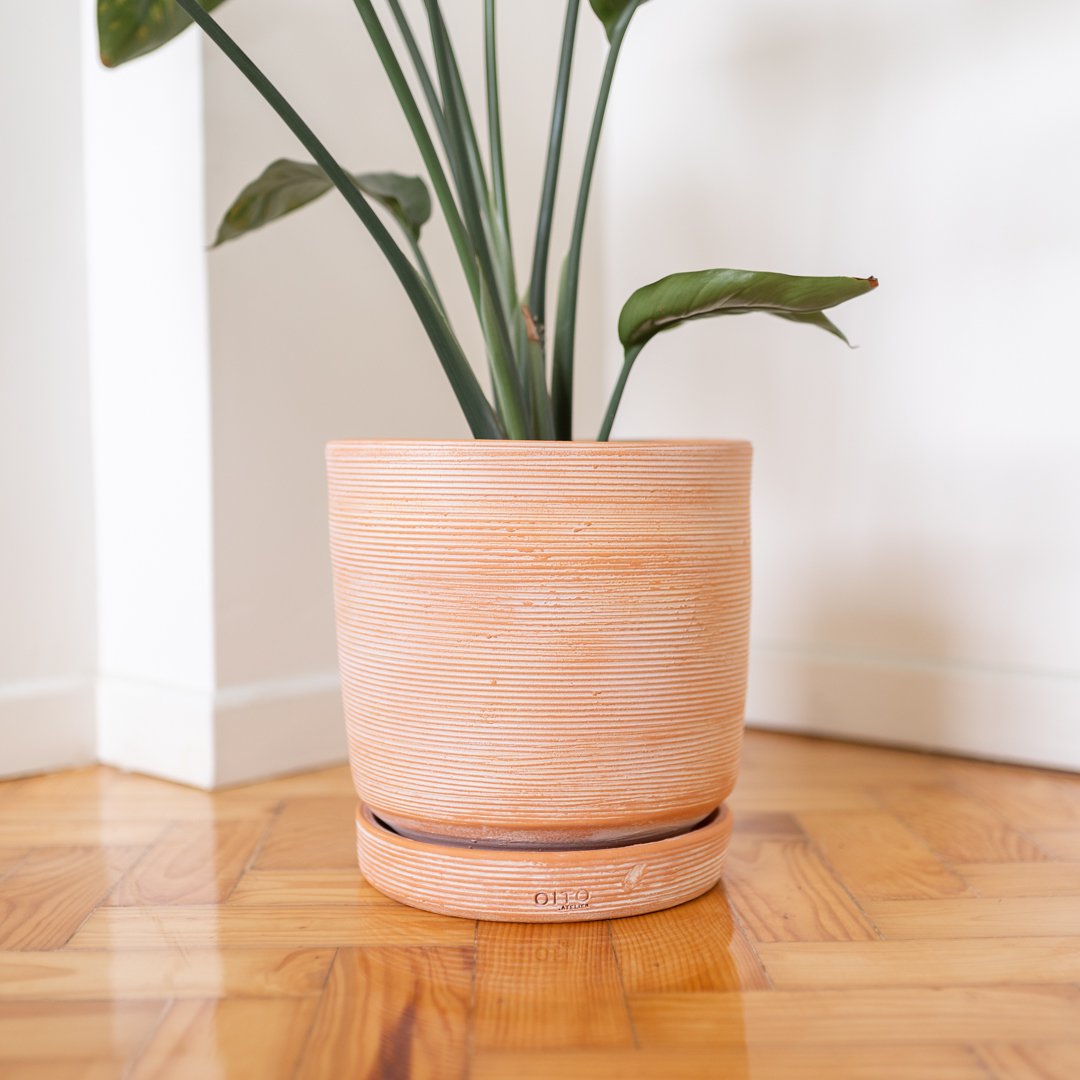 Bari ceramic vase plant handmade