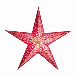 festival starlightz PETIT rose