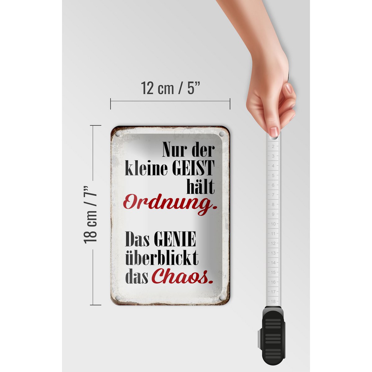 Tinnen bord met de tekst 12x18cm Geest houdt orde Genie Chaos decoratie