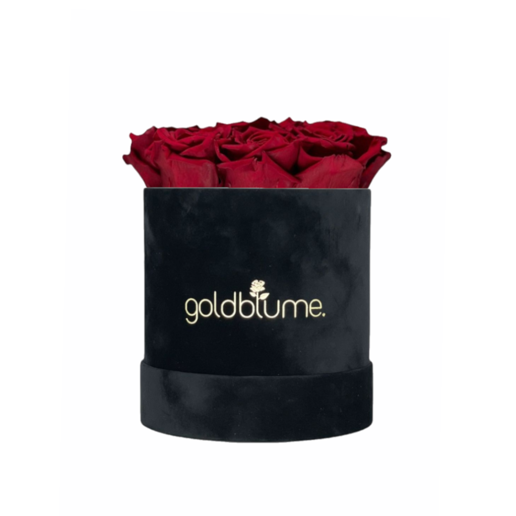 Velvet Black-collectie