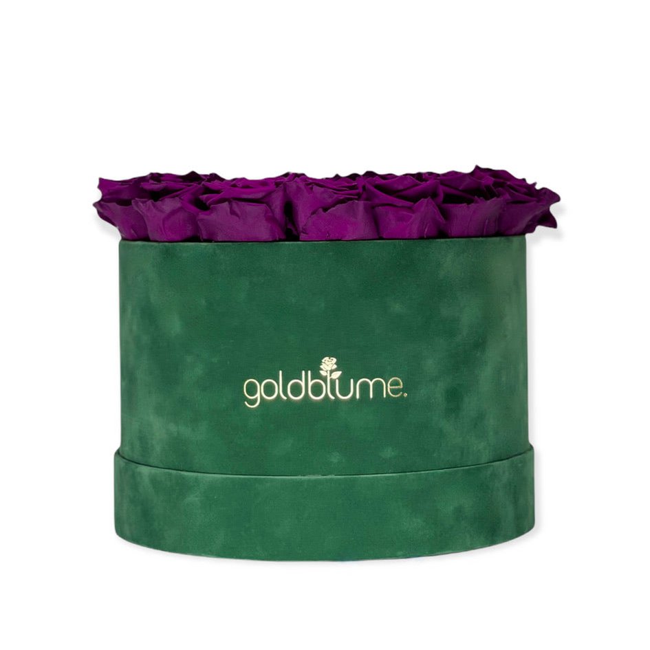 Velvet Green Collection