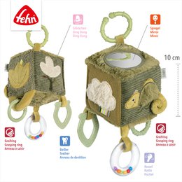Activity cube chameleon