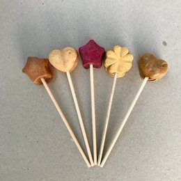 Tea-Pop Discovery Sample Box: 10 Blend Sampler