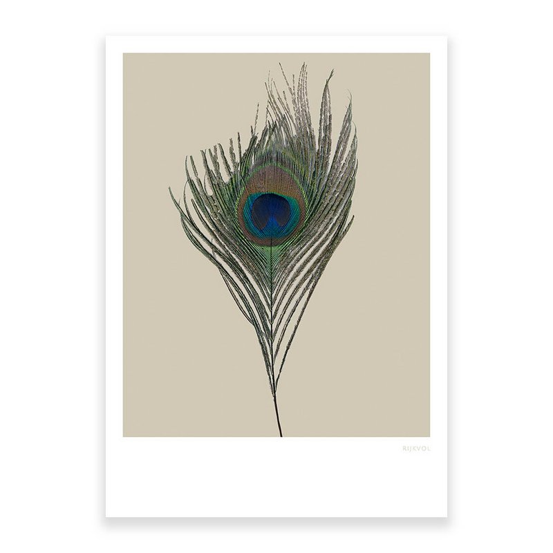 Pfau 01, Postkarte