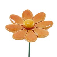 Gänseblümchen Orange klein 3,5 cm